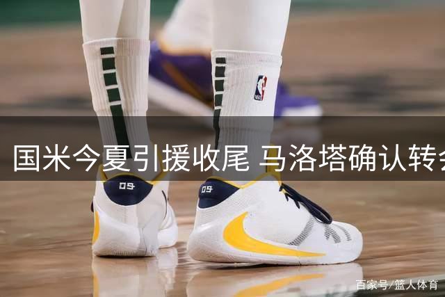 国米今夏引援收尾 马洛塔确认转会市场基本关闭